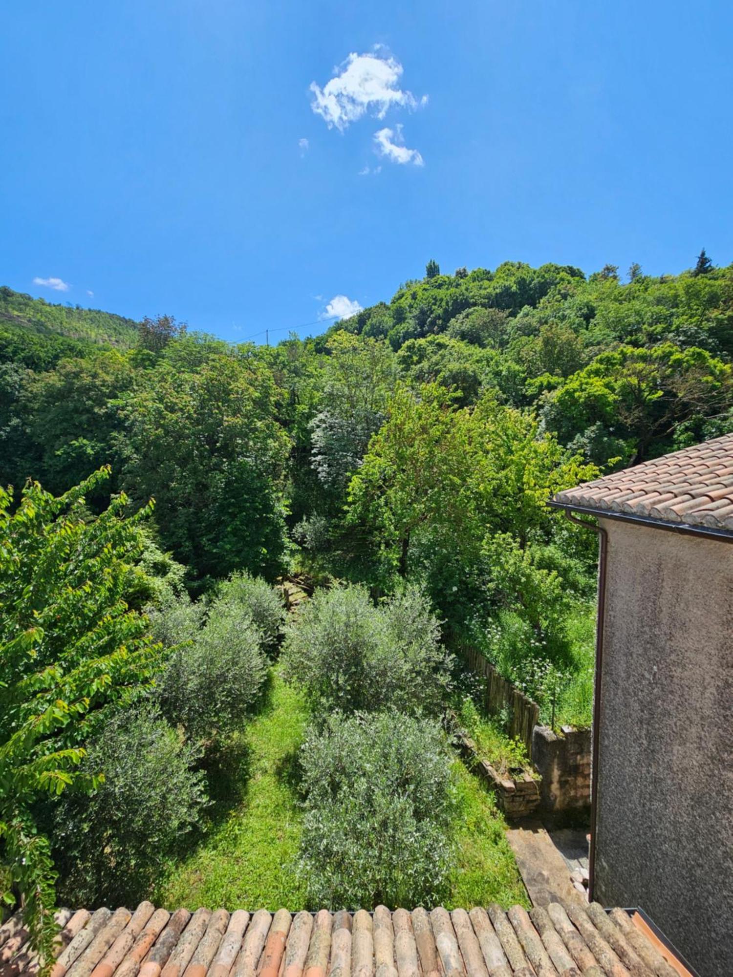 La Rosa Dei Venti - Country House Fossato di Vico エクステリア 写真